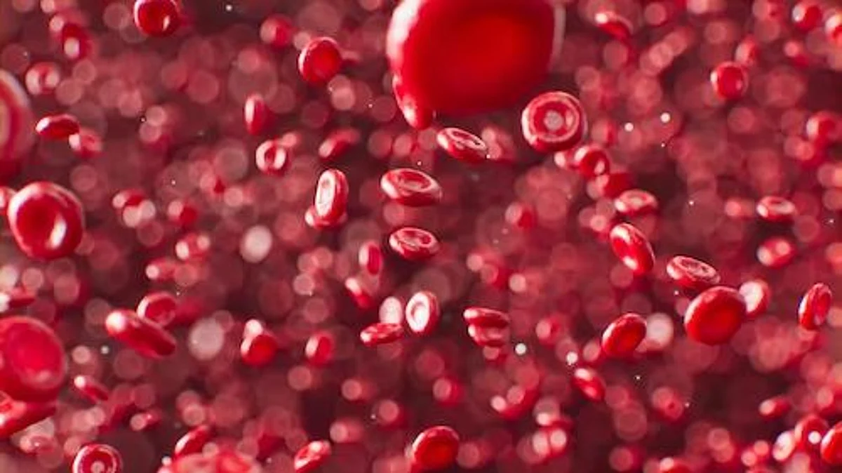 Stealth-care system: Scientists test ‘smart’ red blood cells to deliver antibiotics that target specific bacteria(Unsplash)