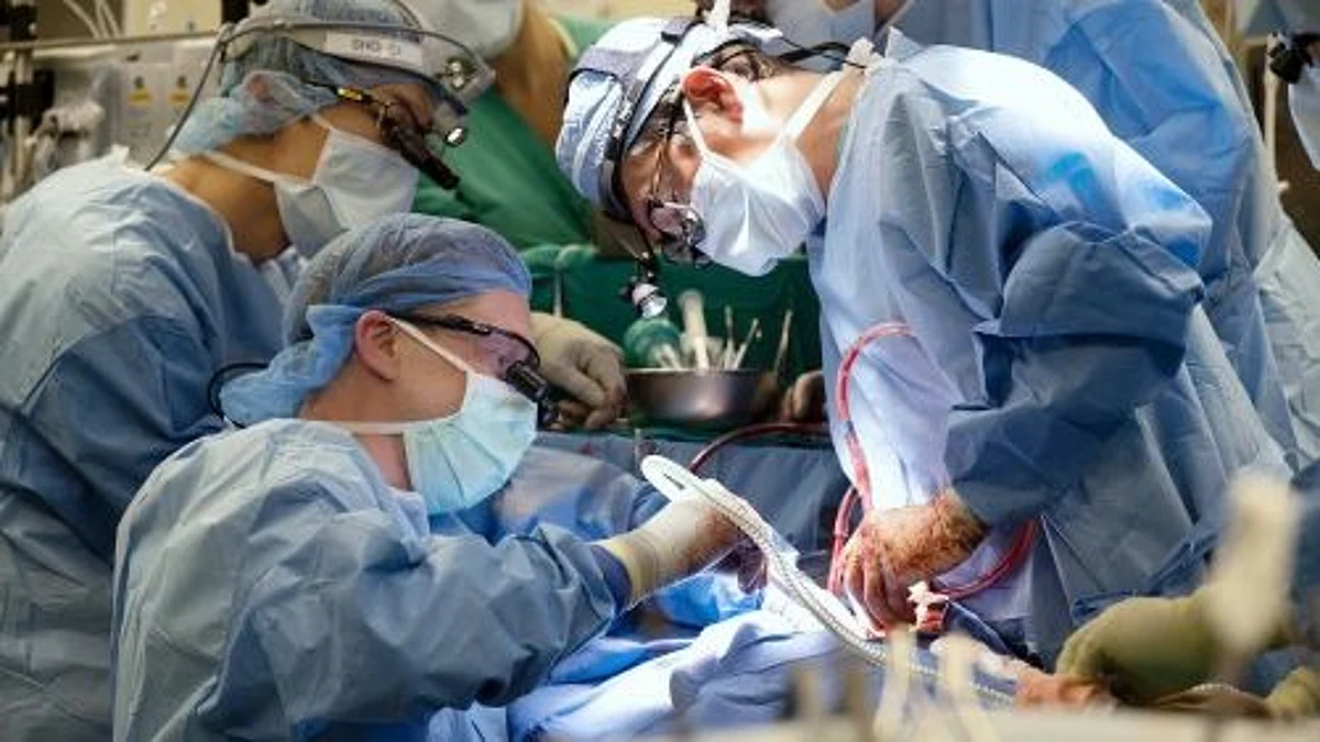 Successfully transplanted a heart donated after circulatory death (DCD). (Image: Newswise)