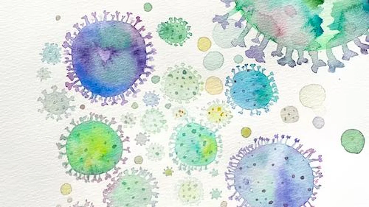 The medical profession is in the midst of losing an arms race. Bacterial antibiotic resistance doesn’t just threaten our ability to treat the infection but our ability to carry out any treatment.(UNSPLASH)