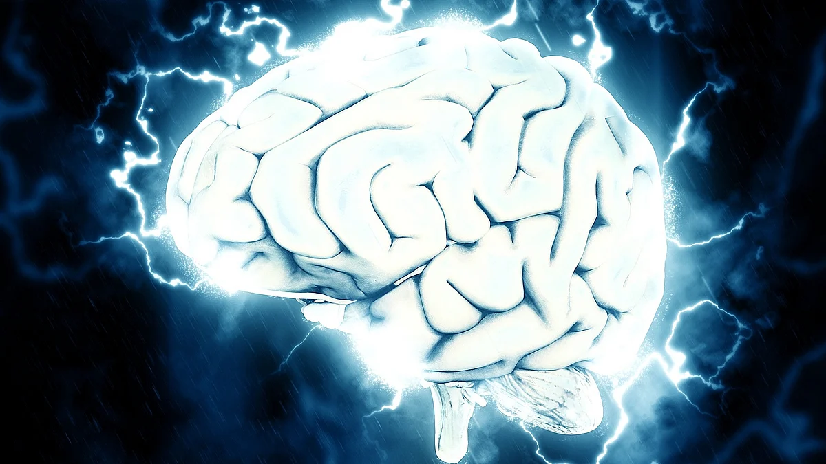 A woman has been diagnosed with a brain tumor after she claimed that voices in her head told her to have a CT scan.(Image : Pixabay)