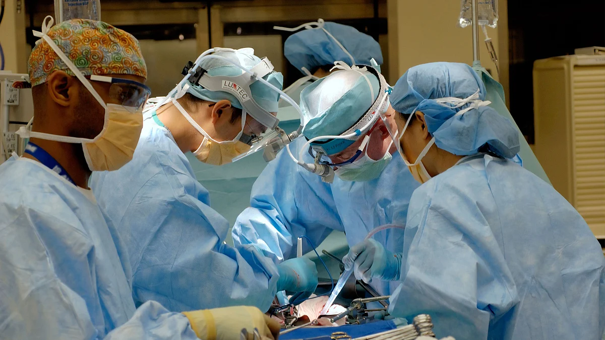 Scientists have documented an exceptional case of a person who has survived 12 tumours, at least five of them malignant, and all aggressive cancers disappeared relatively easily -- opening up new avenues for early diagnosis and immunotherapy in cancer.