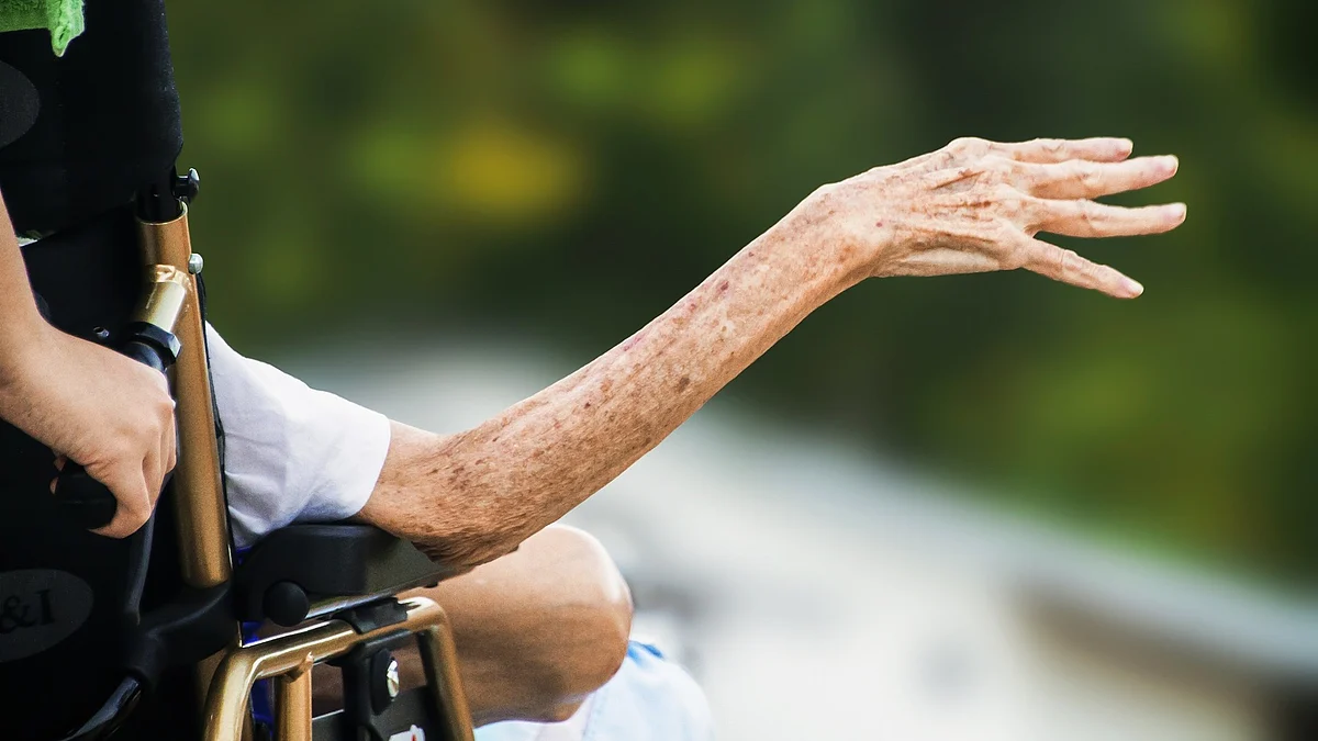 SMA research has shown about The importance of survival motor neuron protein to neuromuscular integrity, Ohio State University scientists are exploring links between the protein and sarcopenia, the age-related loss of skeletal muscle mass and strength.(Image : Pixabay)