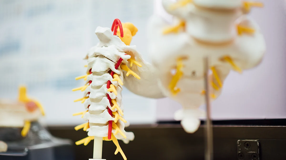 Spinal cord stimulation (SCS) is an effective and proven treatment for chronic nerve pain, and it is often used to treat persistent pain after previous back surgery.(Image : Unsplash)