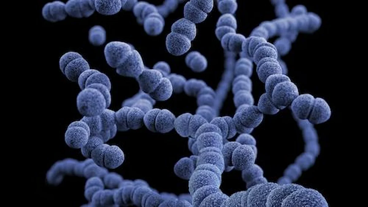New UCLA-led research suggests certain gut bacteria -- including one that is essential for a healthy gut microbiome(Unsplash)