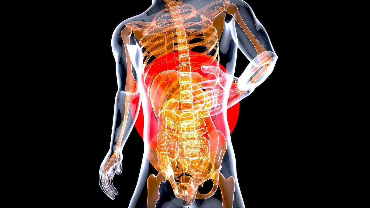 Pancreatic cancer is a virtual death sentence. Dubbed as the silent killer, symptoms don’t present until it is too late and there has been no early detection method (Image : Pixabay)