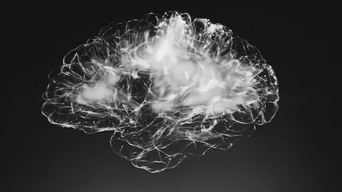 Millions of neurons are constantly messaging each other to shape thoughts and memories. (Unsplash)
