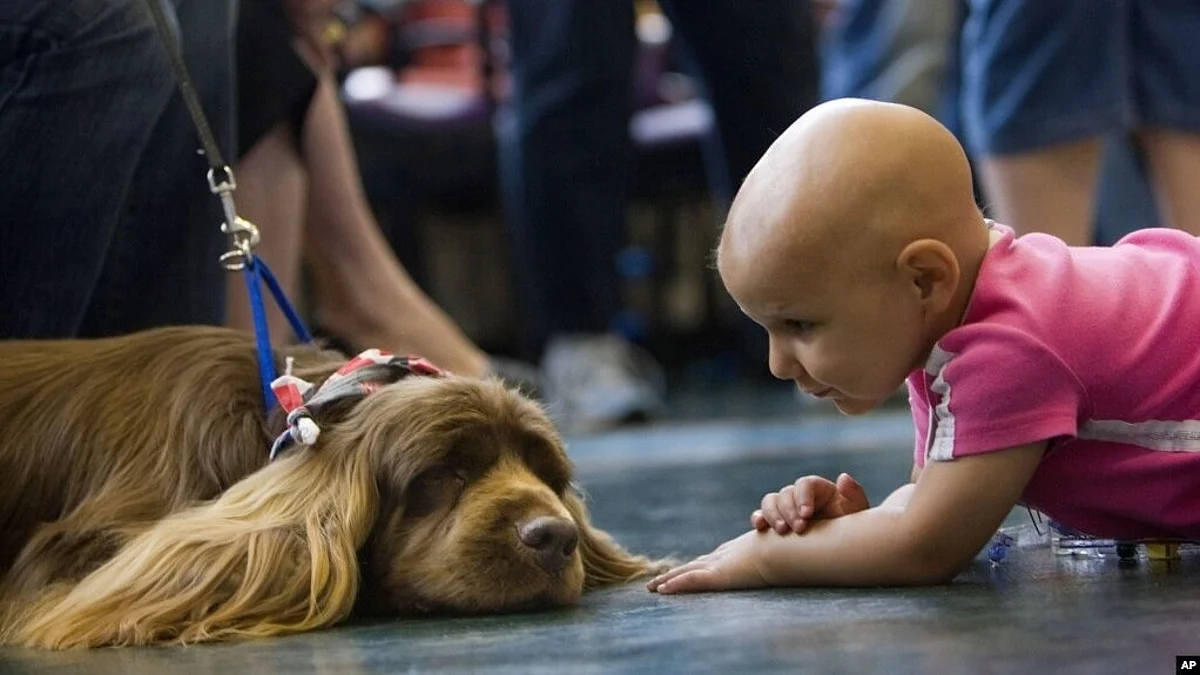 Despite intense treatment with chemotherapy, the neuroblastoma disease can be difficult to cure and the prognosis is poor for children who have the aggressive variant. One of the reasons is that the tumor often develops resistance to drugs.