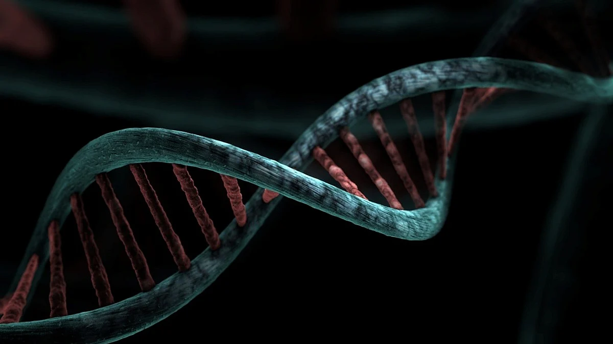 Artificial DNA approach is different from conventional anticancer drug treatments and is hoped to bring about a new era of drug development