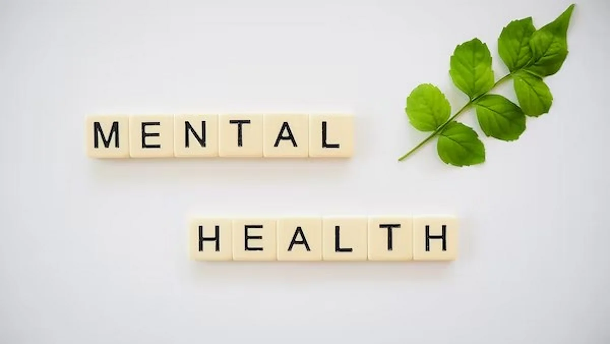 Economic instability, food hardship, and exposure to neighborhood violence are examples of social and environmental factors that affect mental health and also raise the risk of violence or self-harm in an individual