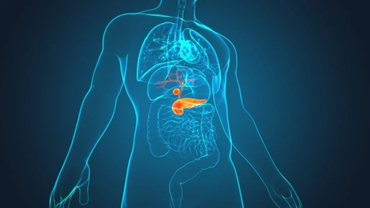Pancreatic Cancers are challenging to treat, as these tumors resistant to standard anti-cancer drugs