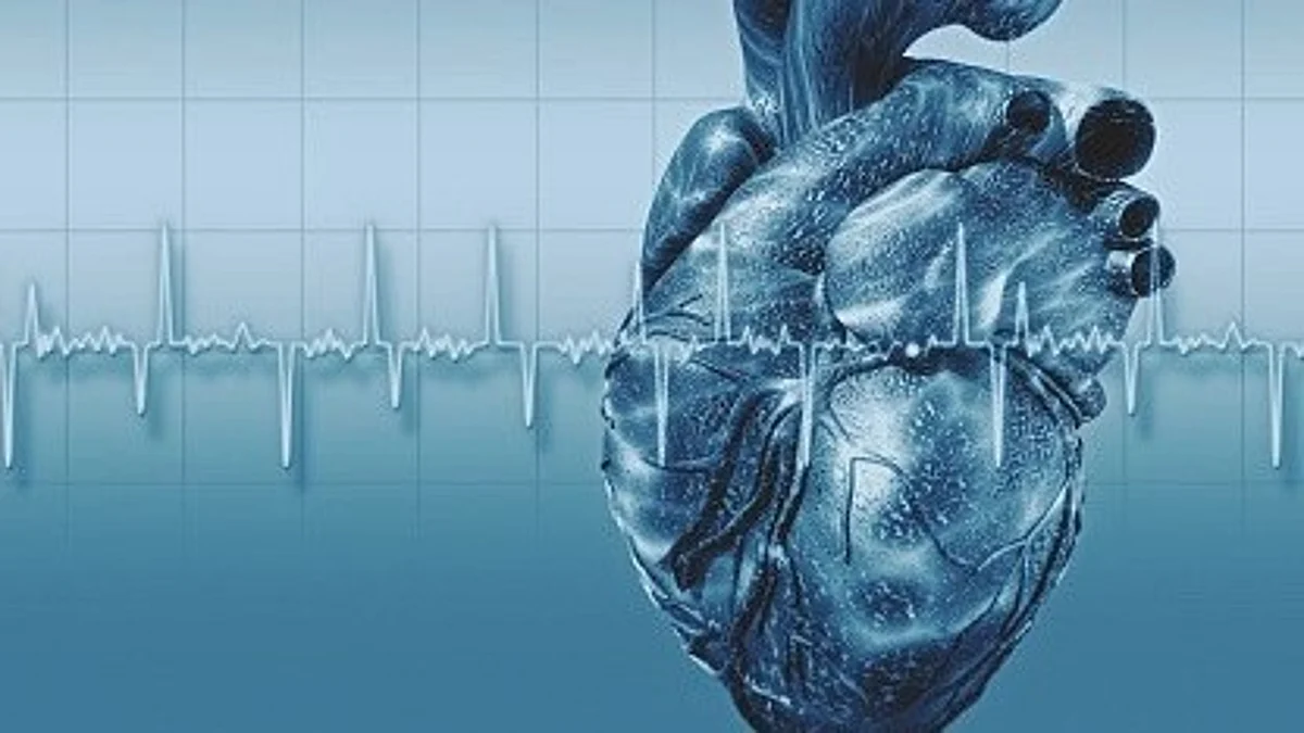 Investigators from the Smidt Heart Institute at Cedars-Sinai have identified how biological pacemaker cells—cells that control your heartbeat—can “fight back” against therapies to biologically correct abnormal heartbeat rates.