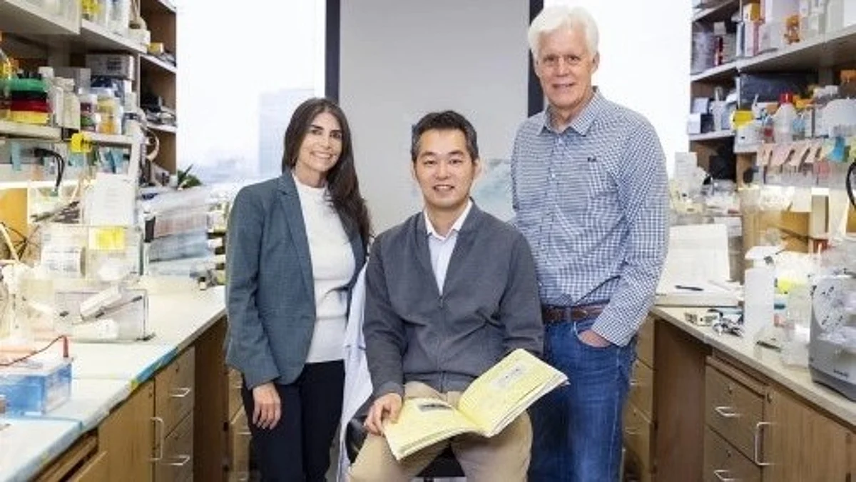 Drs. Rhonda Bassel-Duby, Takahiko Nishiyama and Eric Olson (l-r) published a study on their use of the CRISPR-Cas9 gene editing system to correct mutations responsible for dilated cardiomyopathy.