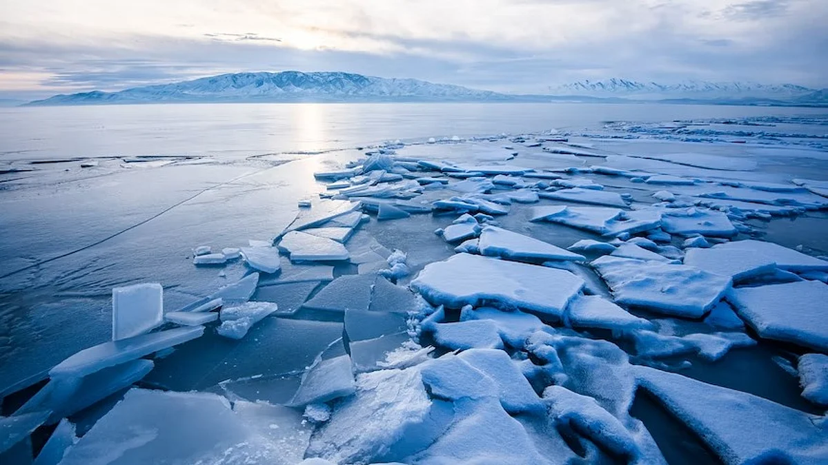 They were identified as Narayana Muddana (47) and his wife, Haritha Muddana, and their friend Gokul Mediseti. They were walking on a frozen lake but drowned after falling through the ice sheet.