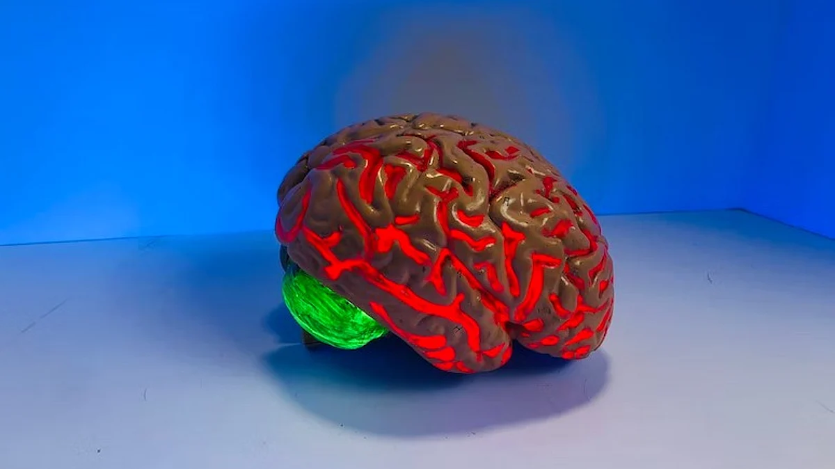 Results of the clinical cases utilizing this approach, published in Brain Communications, suggest that it enables more precise targeting of the brain, decreases treatment times, reduces side effects, and improves treatment response.