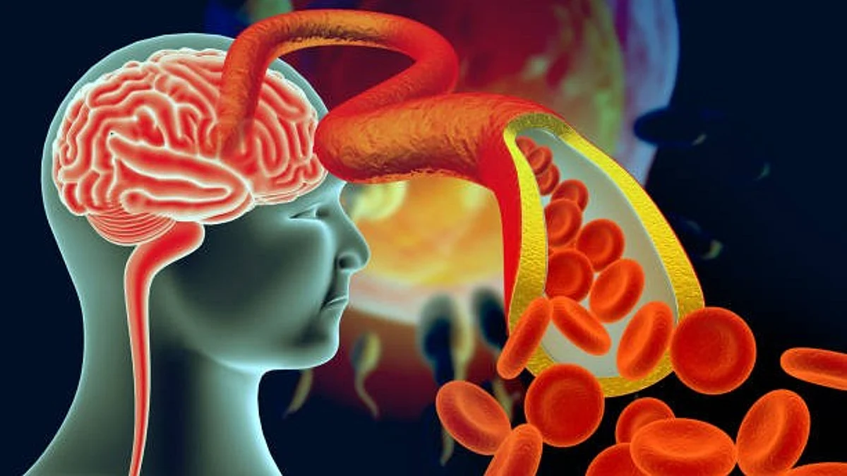 Dance coordinated in human body as the motor neurons shout a "stop, now it's my turn" message to the vascular cells. To do this, they use a protein that release into their environment - semaphorin 3C. It diffuses to the vascular cells and docks there at a receptor called PlexinD1 - in a sense, this is the ear for which the molecular message is intended