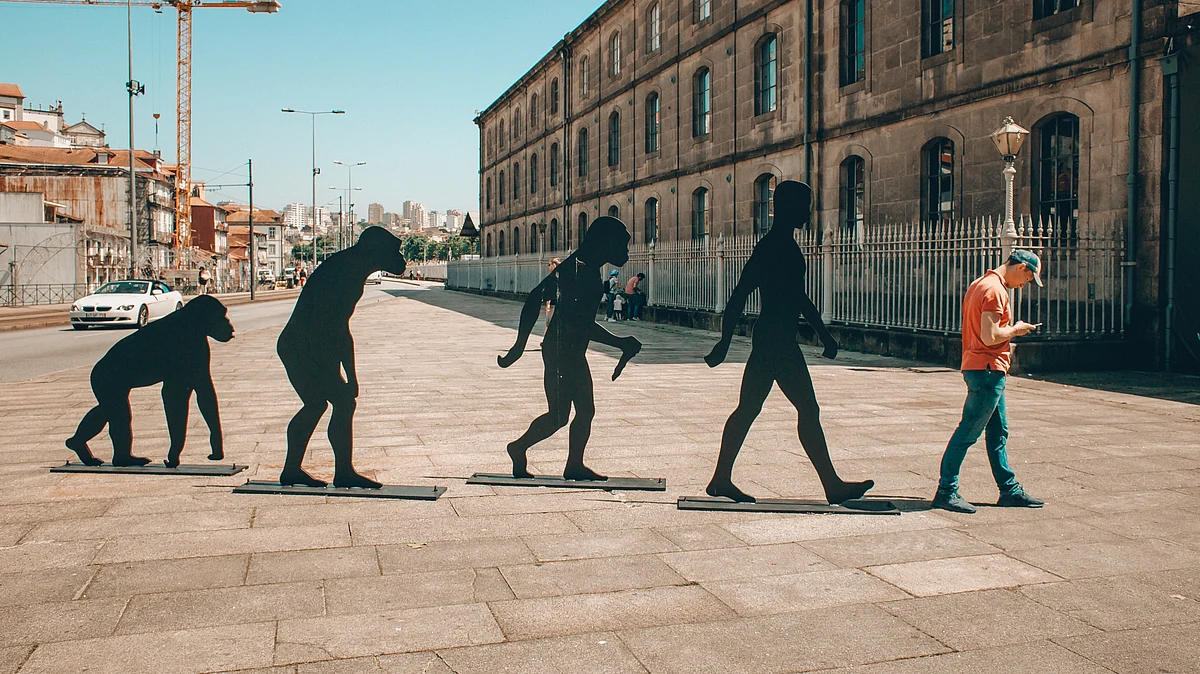 The researchers also found a new gene that is associated with human heart tissue which emerged in humans & chimps right after the split from gorillas & shows just how fast a gene can evolve to become essential for the body. (Representational Image: Unsplash)
