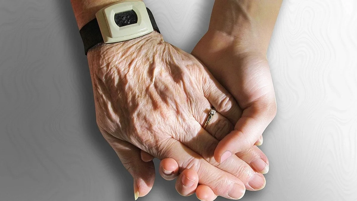 The researchers found that longer genes are linked to longer lifespans, and shorter genes are linked to shorter lifespans.(Image : Pixabay)