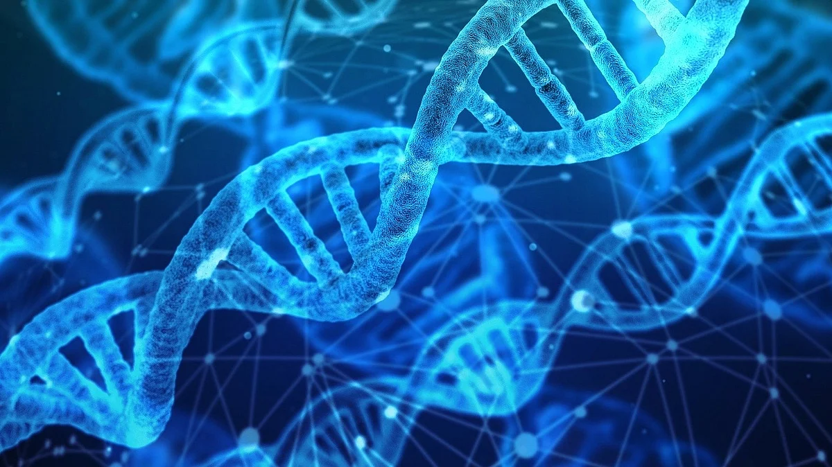 CRISPR Technology Improves Huntington’s Disease