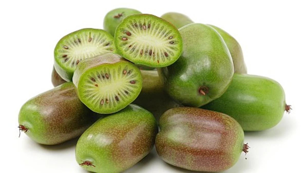 Japanese researchers reveal the action of Actinidia arguta (Sarunashi) juice on the development of lung cancer