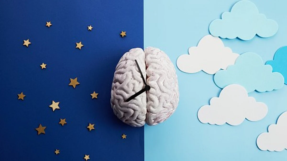Circadian rhythms are inherent cycles of approximately 24 hours that regulate various biological processes, such as sleep and wakefulness.