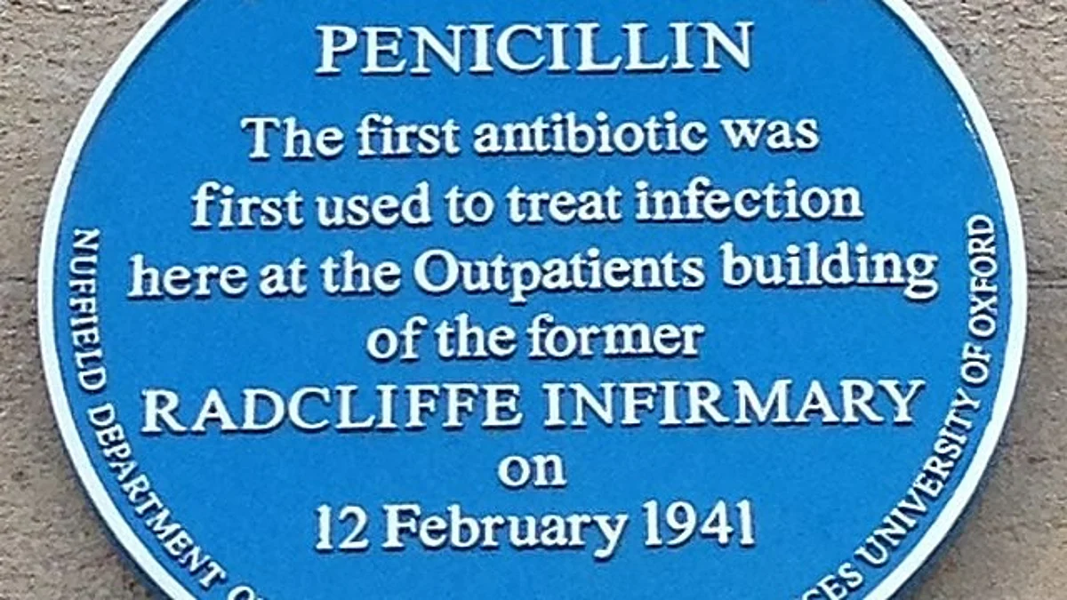 A new program is finding many diagnosed in childhood with antibiotic allergies are no longer allergic after retesting.