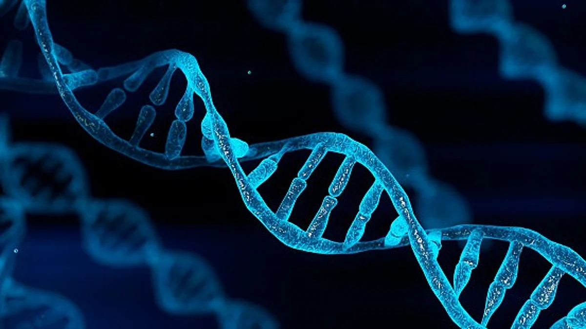 A large-scale biobank-based study performed in Finland has discovered several new disease genes as well as new insights on how known genetic factors affect disease.