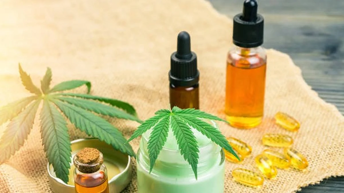 According to U.S. guidelines, frequent Cannabis usage may make postoperative pain and nausea worse and lead to a greater need for opioid medications