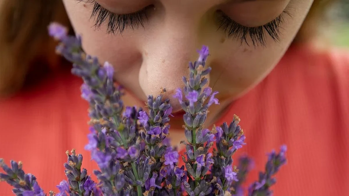 Researchers at the Del Monte Institute for Neuroscience at the University of Rochester are finding new clues to how the olfactory sensory system aids in threat assessment and have found neurons that “learn” if a smell is a threat.