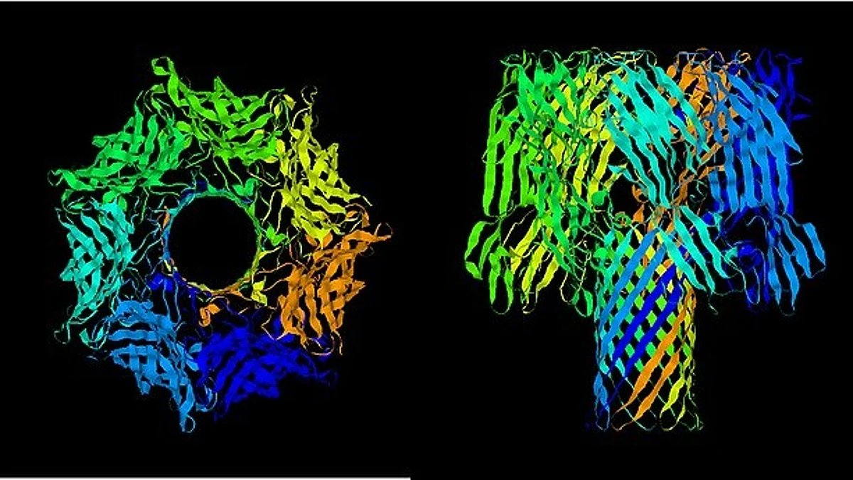 Probing the tau and tubulin protein molecules behind Alzheimer's and Parkinson's. (WIKIMEDIA COMMONS)