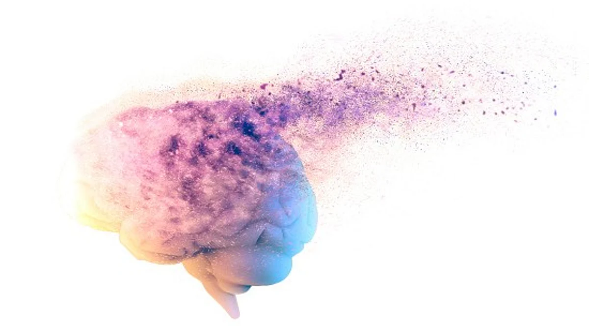 Socially isolated older adults have smaller social networks, live alone, have limited participation in social activities have higher chancer of developing Dementia