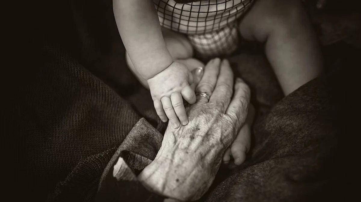 Ceramides have an important role as a protective structure for the skin, and are used in skin care products. Their significance in aging, however, has remained unclear so far.