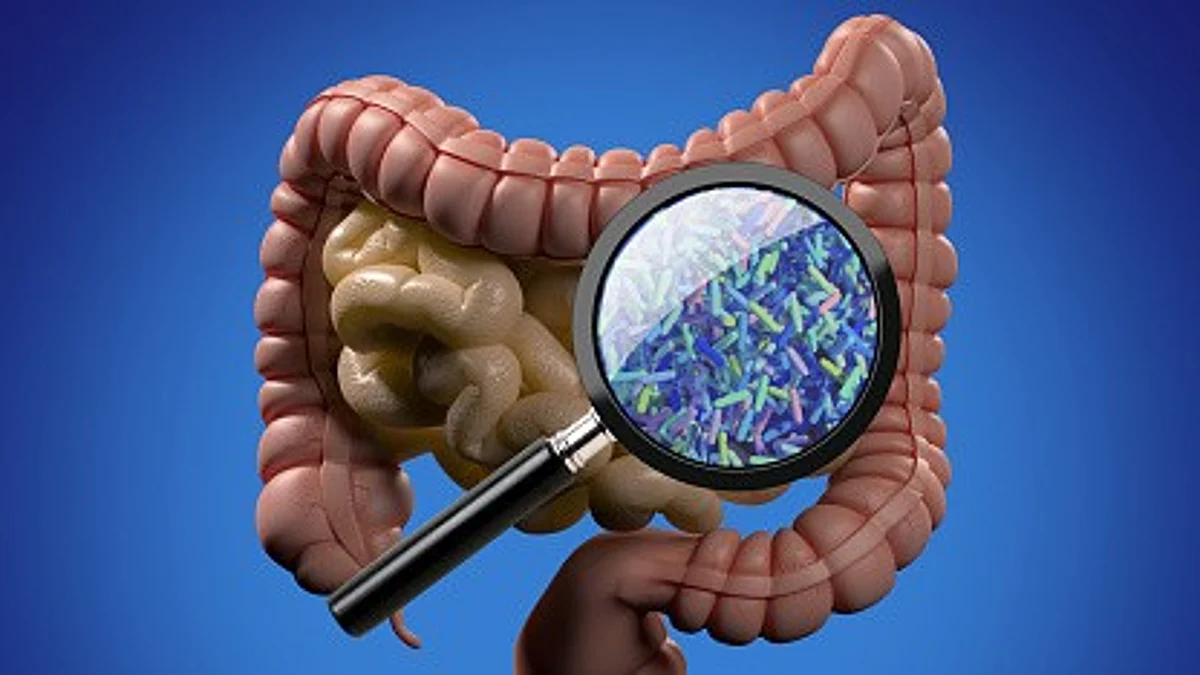 Evidence-mapping review is now available to identify the greatest amount of indications for association between metabolites and liver/gallbladder disorders, colorectal cancer, and other digestive disorders