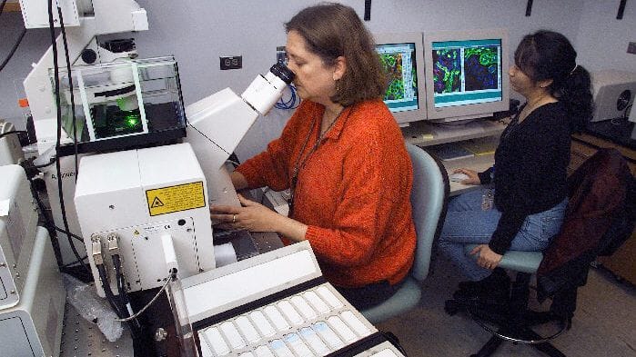 The hepatitis B-neutralizing sentinel cell