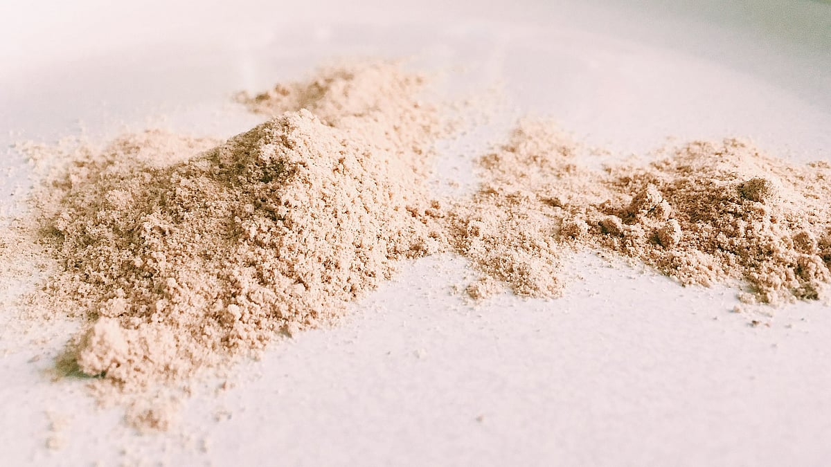 Psyllium Fiber Protects Against Colitis by Activating Bile Acid Sensor