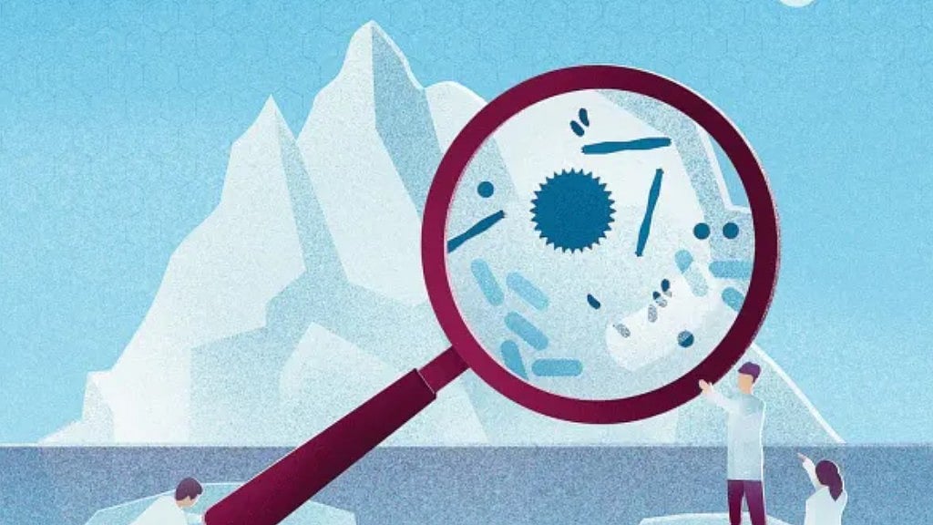 Climate change may release ancient germs frozen in ice Experts