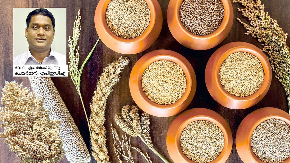 India's small grains for a healthy world TIme News