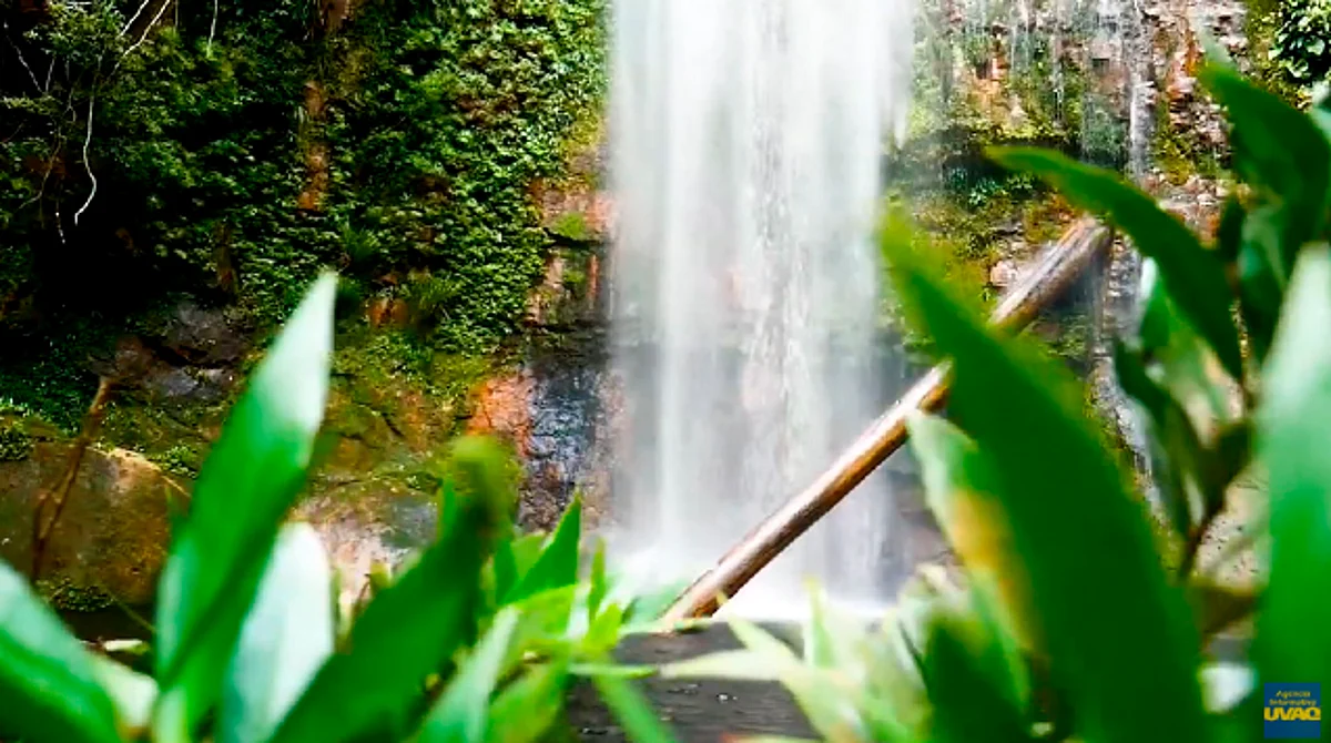 Ecoturismo: protege el patrimonio natural