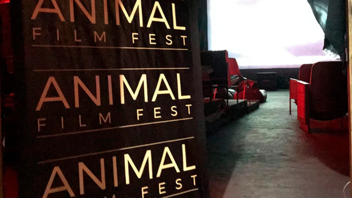Animal Film Fest alista segunda edición en Morelia