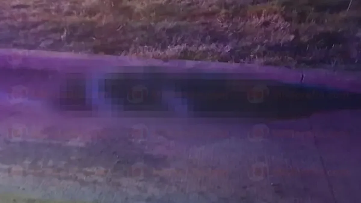 Cadáver maniatado es hallado en calle de fraccionamiento de Morelia