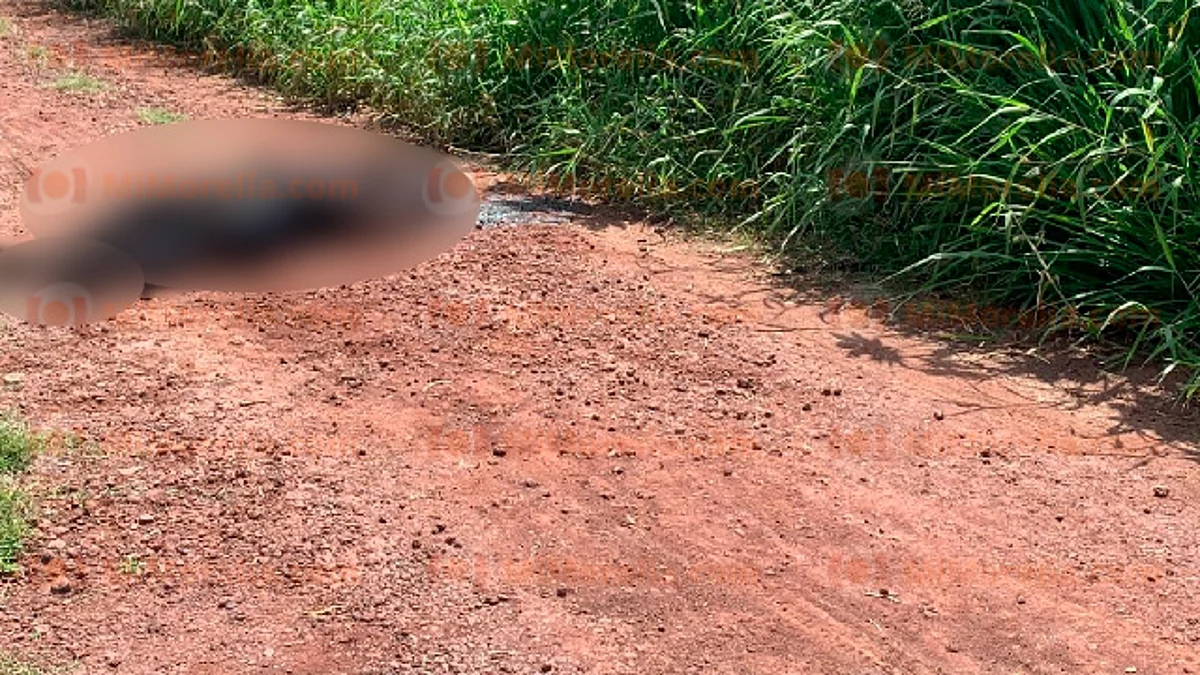Michoacán: Hallan cadáver parcialmente quemado; víctima está sin identificar