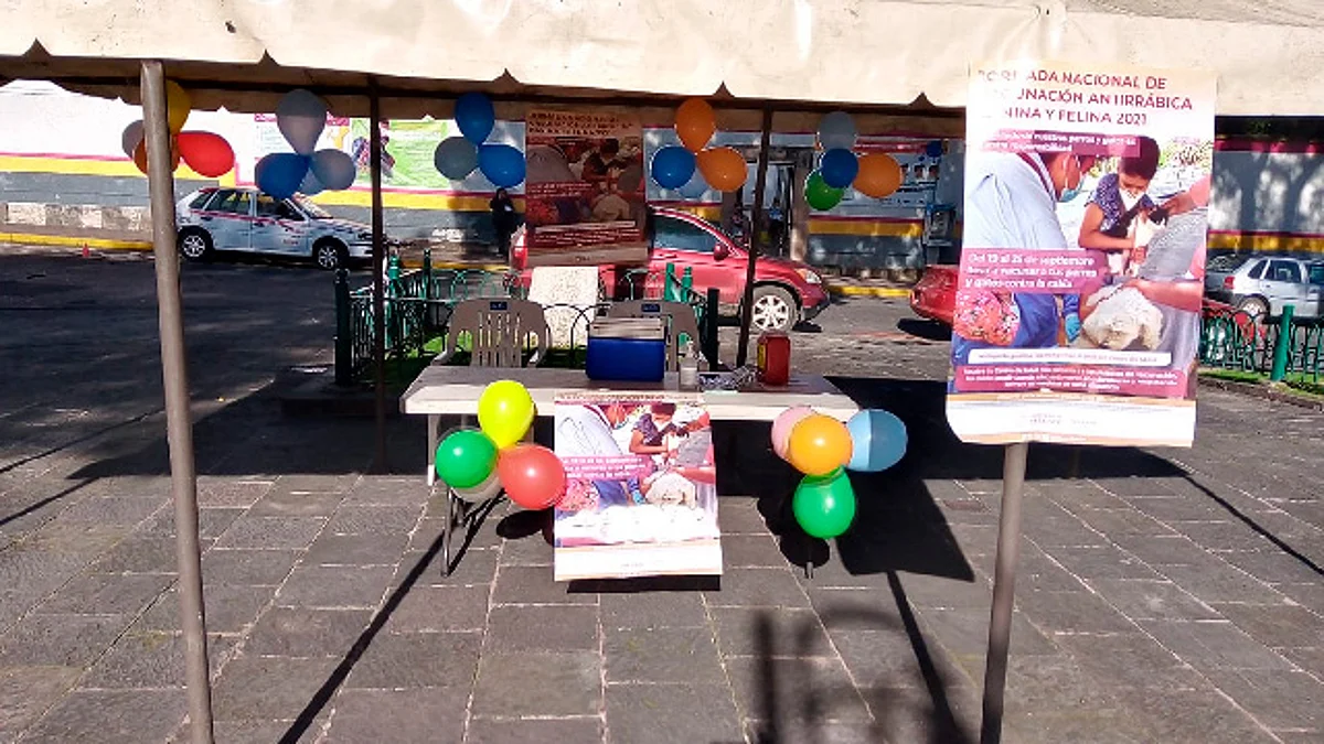 Próximo lunes inicia jornada de vacunación antirrábica para mascotas en Morelia
