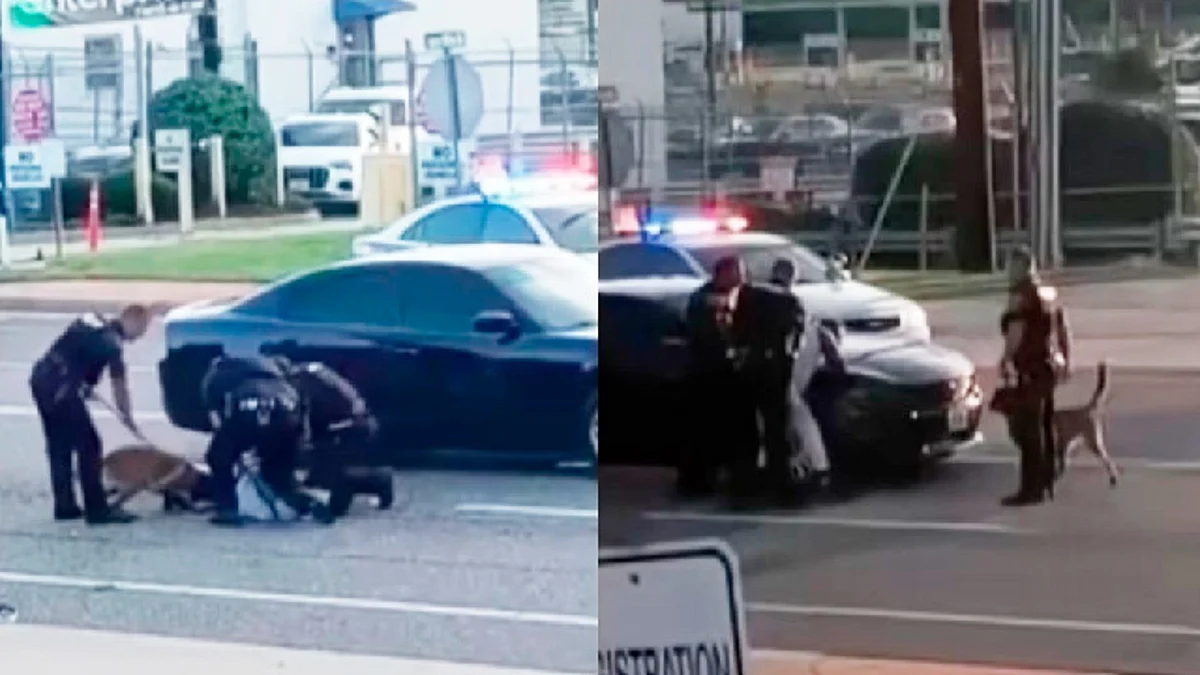 Policías dejan que su perro muerda a un afroamericano mientras lo arrestan