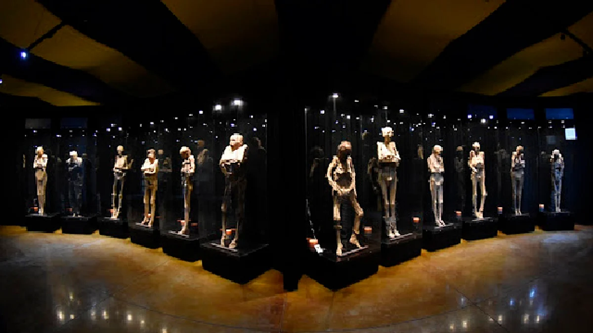 Guanajuato tendrá nuevo museo de las momias; adelantan diseño