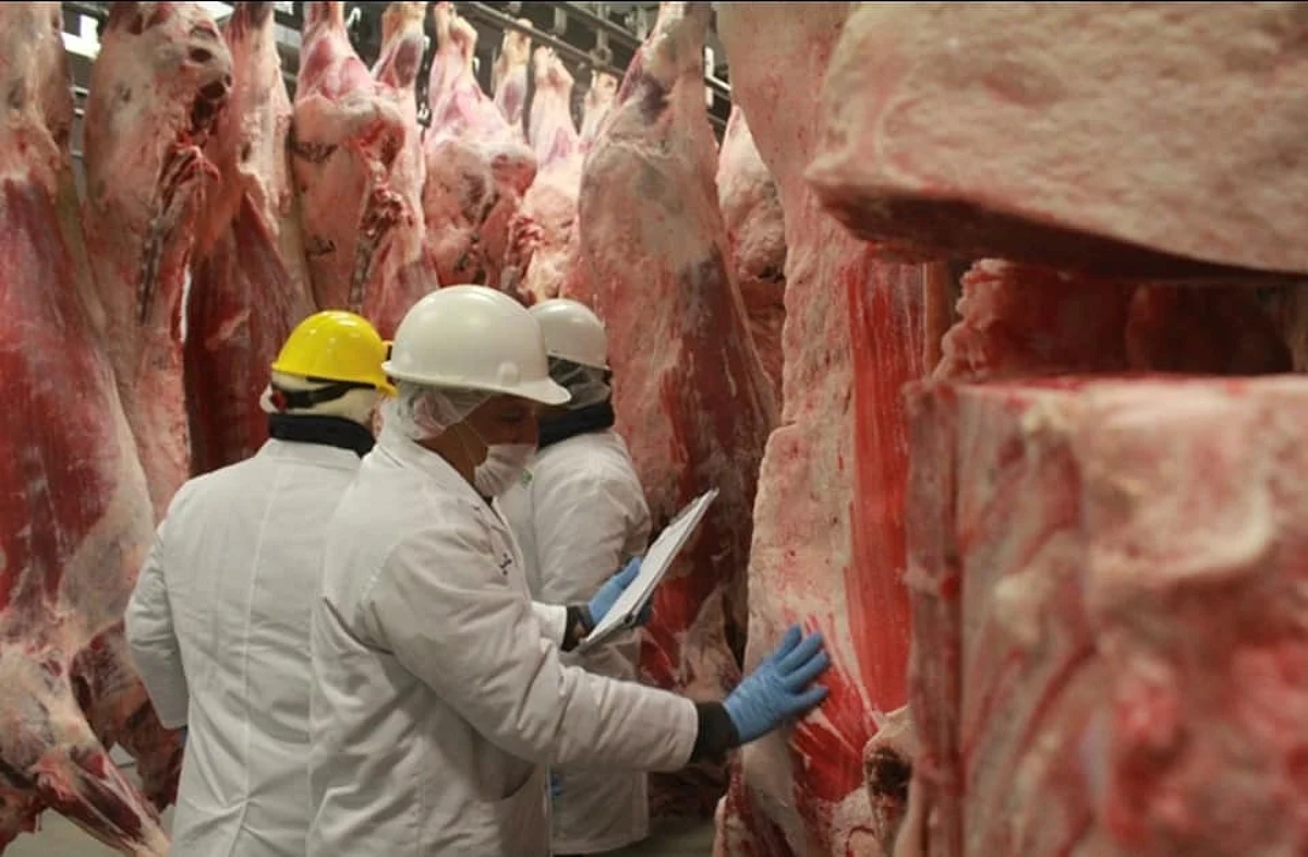 Economía mexicana logra repunte de 0.5% pese a pandemia