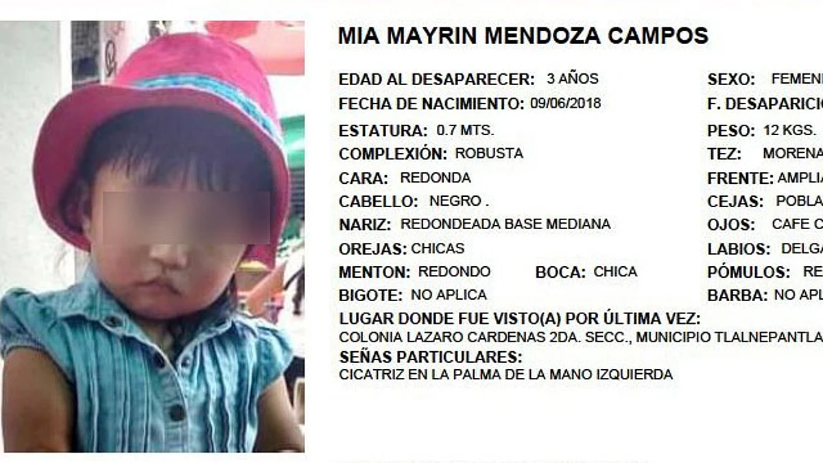 Hallan cuerpo de niña de 3 años, desparecida en derrumbe del Cerro del Chiquihuite