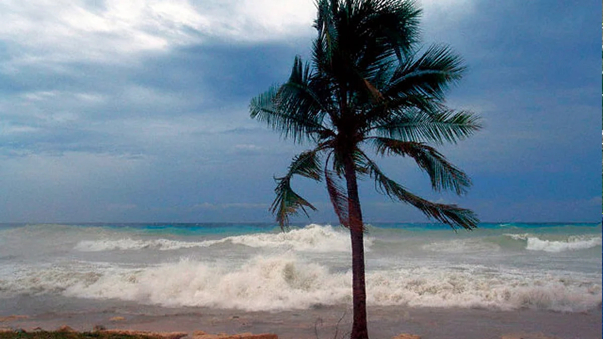 Se forma la tormenta tropical "Rick" cerca de Michoacán