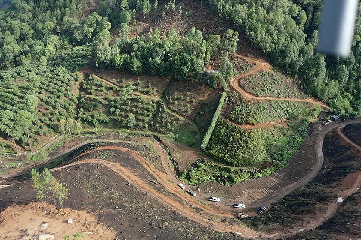 Aguacate, ¿una bomba de tiempo para el campo michoacano?