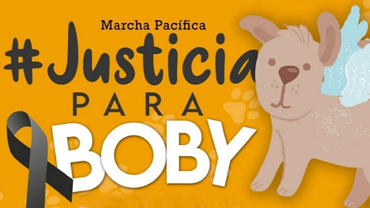 Exigirán justicia en Morelia por Boby, perro que murió tras ser arrastrado