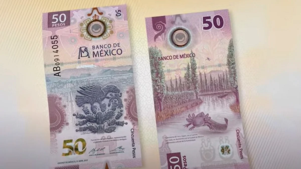 Entra en circulación nuevo billete de 50 pesos en México... sin Morelos