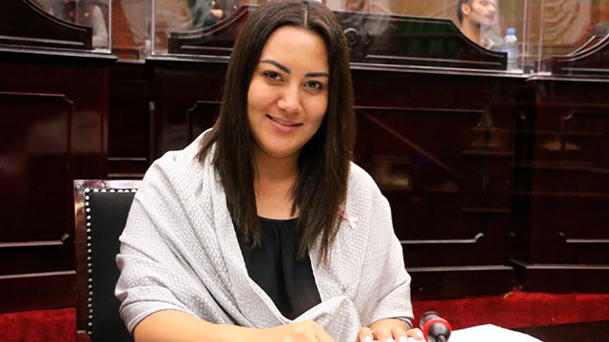 En conformación de comisiones legislativas deben privilegiarse los perfiles: Mónica Valdez